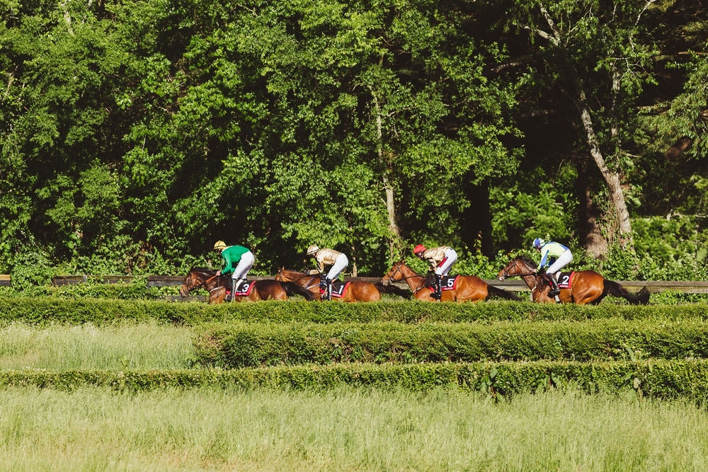 2016 Iroquois Steeplechase in Brentwood, Tennessee | Amy Allmand photography