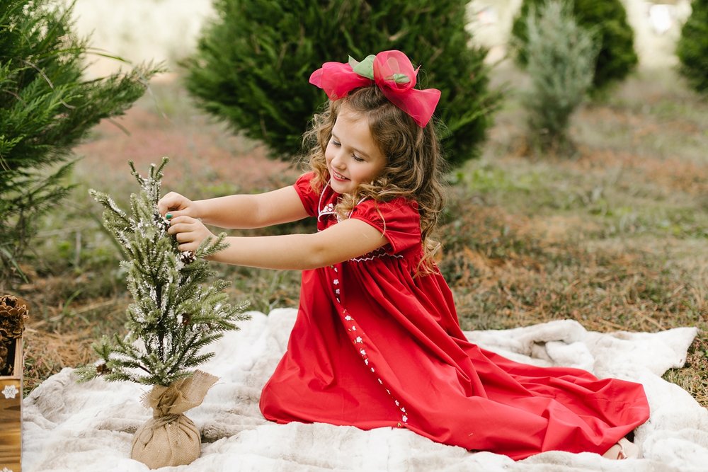 Country Cove Christmas Mini Session | Amy Allmand photography