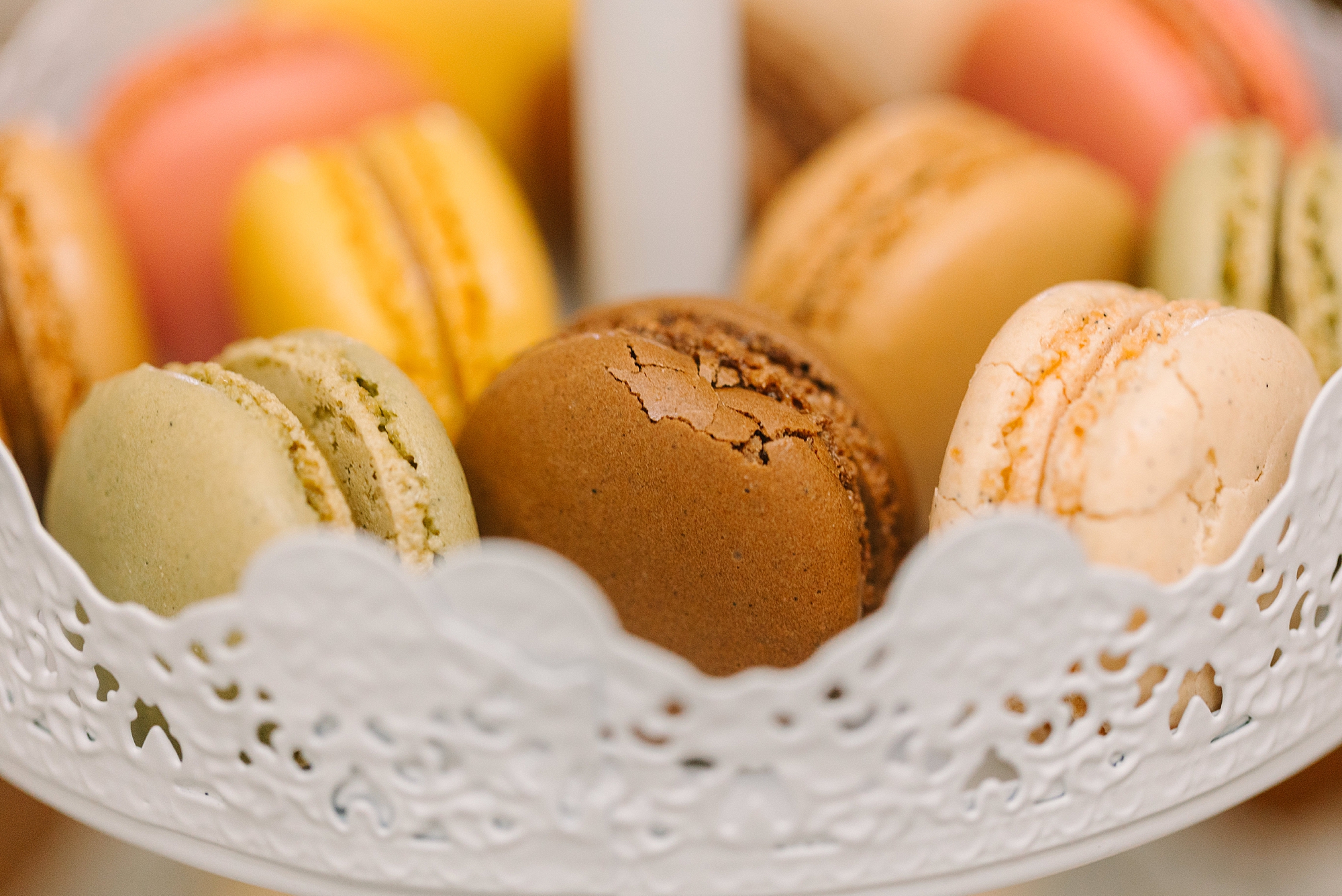 macaroons on display during fall branding portraits